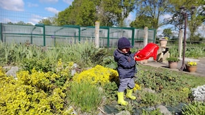 Property grounds - EXCLUSIVE ESCAPADE: GITE WITH SWIMMING POOL Freshness and relaxation guaranteed (Huriel)