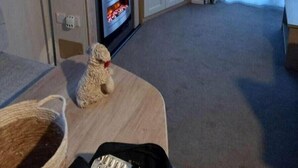 A living room with a fireplace, a television, and a sofa. - Skegness Holiday Park 13968 (Skegness)