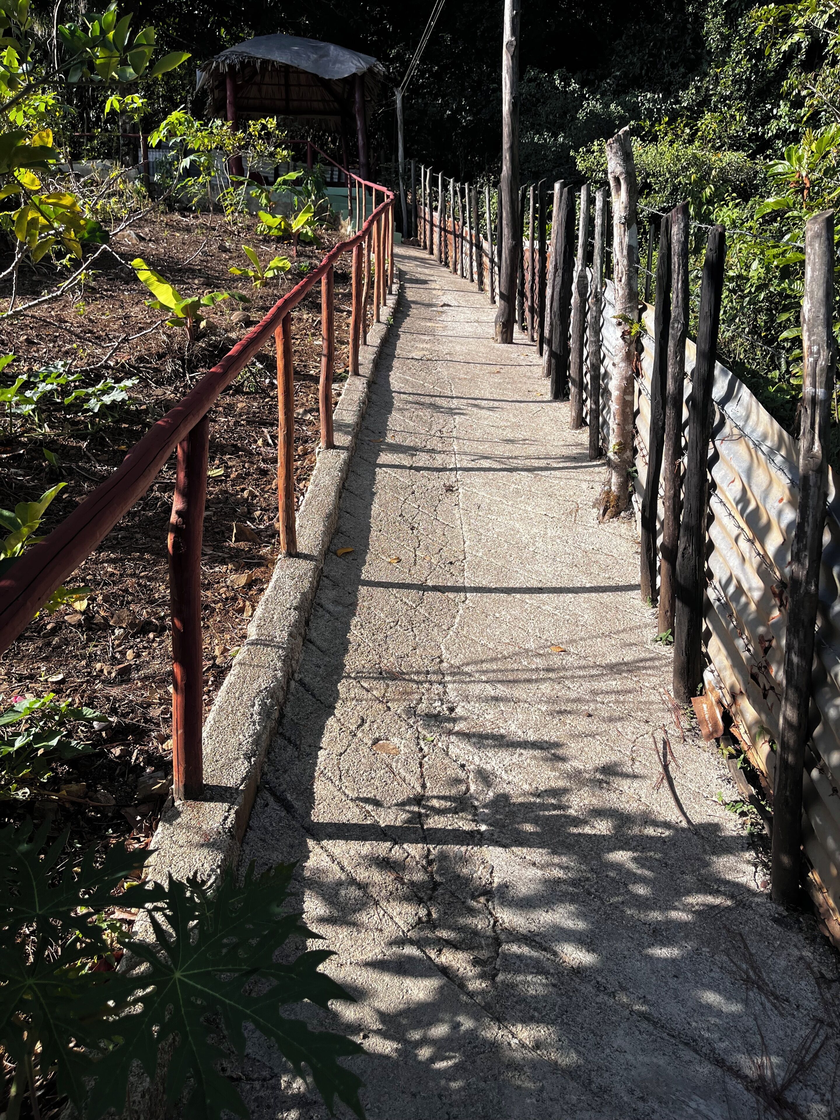 A pathway with a metal railing on one side and a wooden fence on the other, surrounded by greenery.