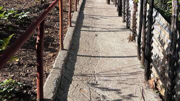 A pathway with a metal railing on one side and a wooden fence on the other, surrounded by greenery.
