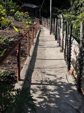 A pathway with a metal railing on one side and a wooden fence on the other, surrounded by greenery.