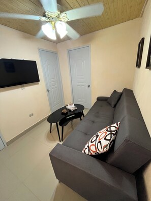 A living room with a sofa, a flat-screen TV mounted on the wall, a ceiling fan, and two doors.