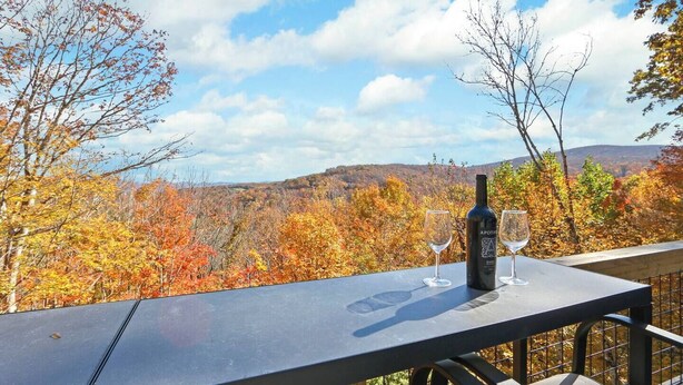 Ein Tisch mit einer Weinflasche und zwei Gläsern, mit Blick auf eine malerische Landschaft aus herbstlich gefärbten Bäumen und Hügeln.