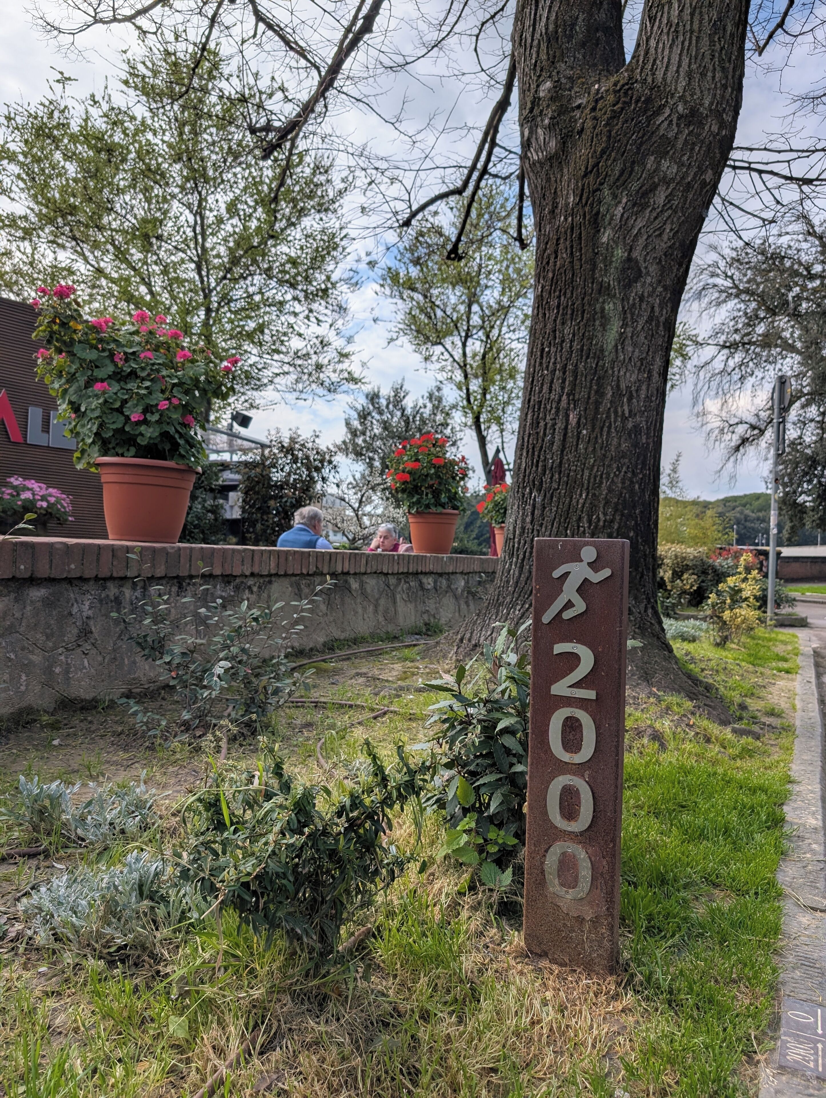 A tree-lined area with a sign reading '2000' and potted plants.
