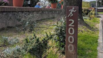 A tree-lined area with a sign reading '2000' and potted plants.
