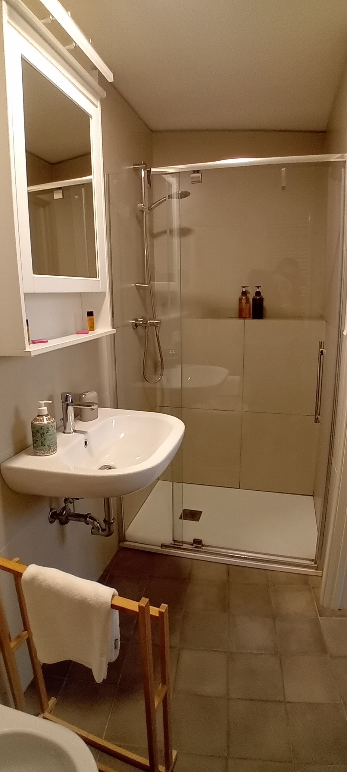 Une salle de bain avec un lavabo blanc, un miroir et une douche. Il y a deux bouteilles sur l’étagère de la douche.