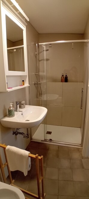 Habitació doble estàndard | Bany | Dutxa, capçal de dutxa tipus cascada i articles de tocador gratuïts 