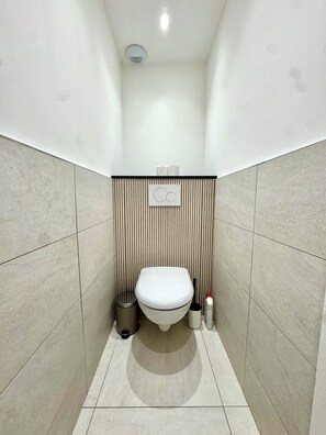 Hair dryer, towels, soap, toilet paper - Le Porte de France / 6 pers / 300 m station / Air-conditioned (Grenoble)
