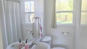 Hair dryer, towels, soap, toilet paper