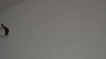 واي فاي مجانًا