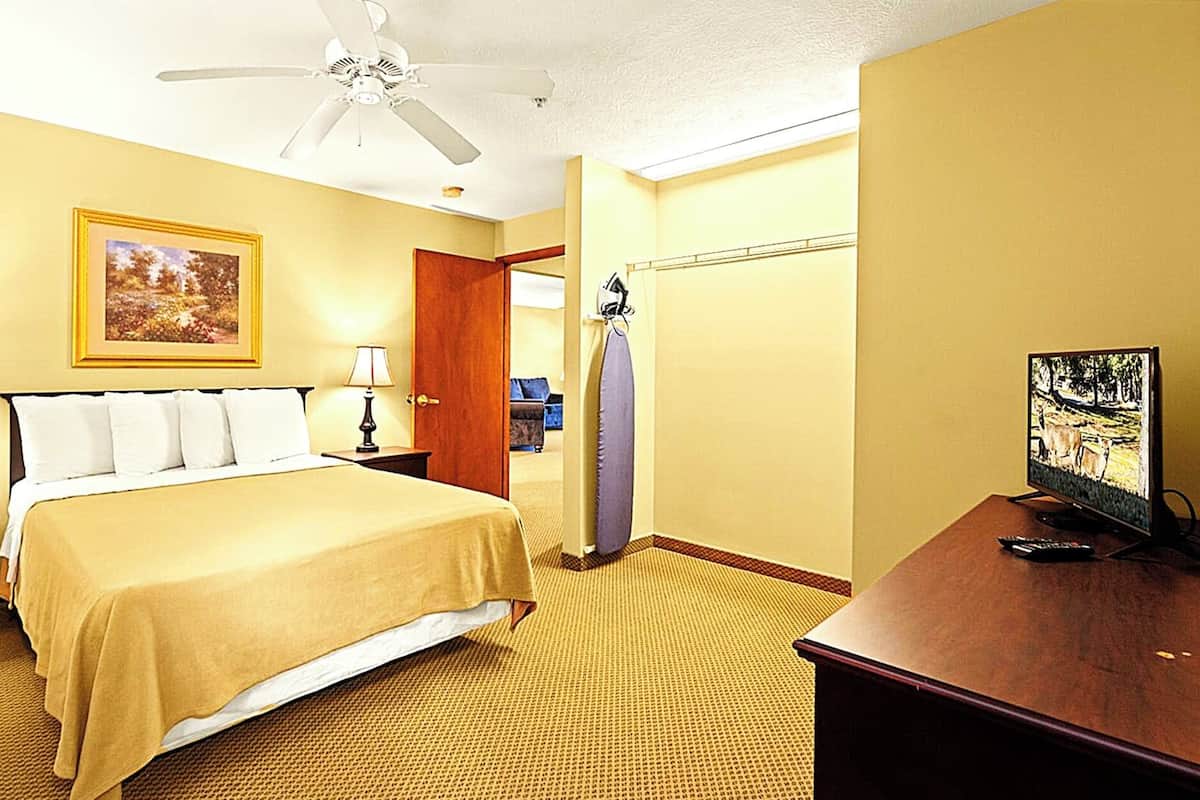 Basic Condo, Roll-in Shower, Kitchen | Iron/ironing board, free WiFi