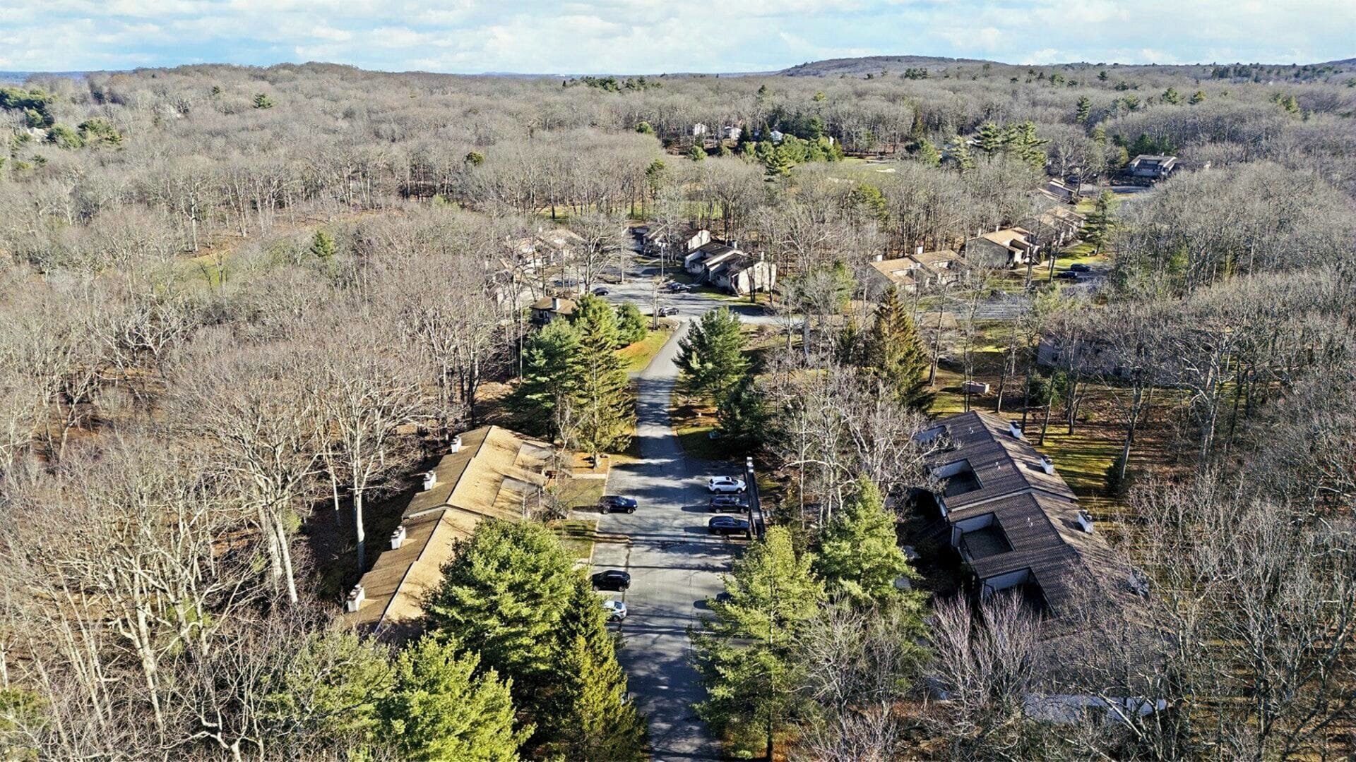 A residential area with houses aligned along a central road, surrounded by trees and open land.