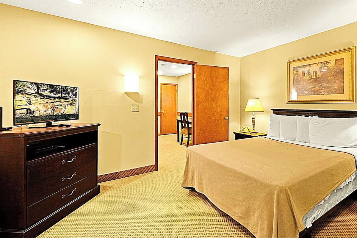 Una camera d'albergo con un letto, una cassettiera, una televisione e un quadro appeso al muro.