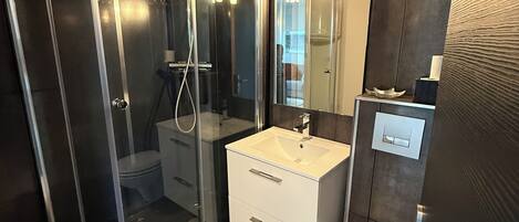 Hair dryer, towels, soap, toilet paper