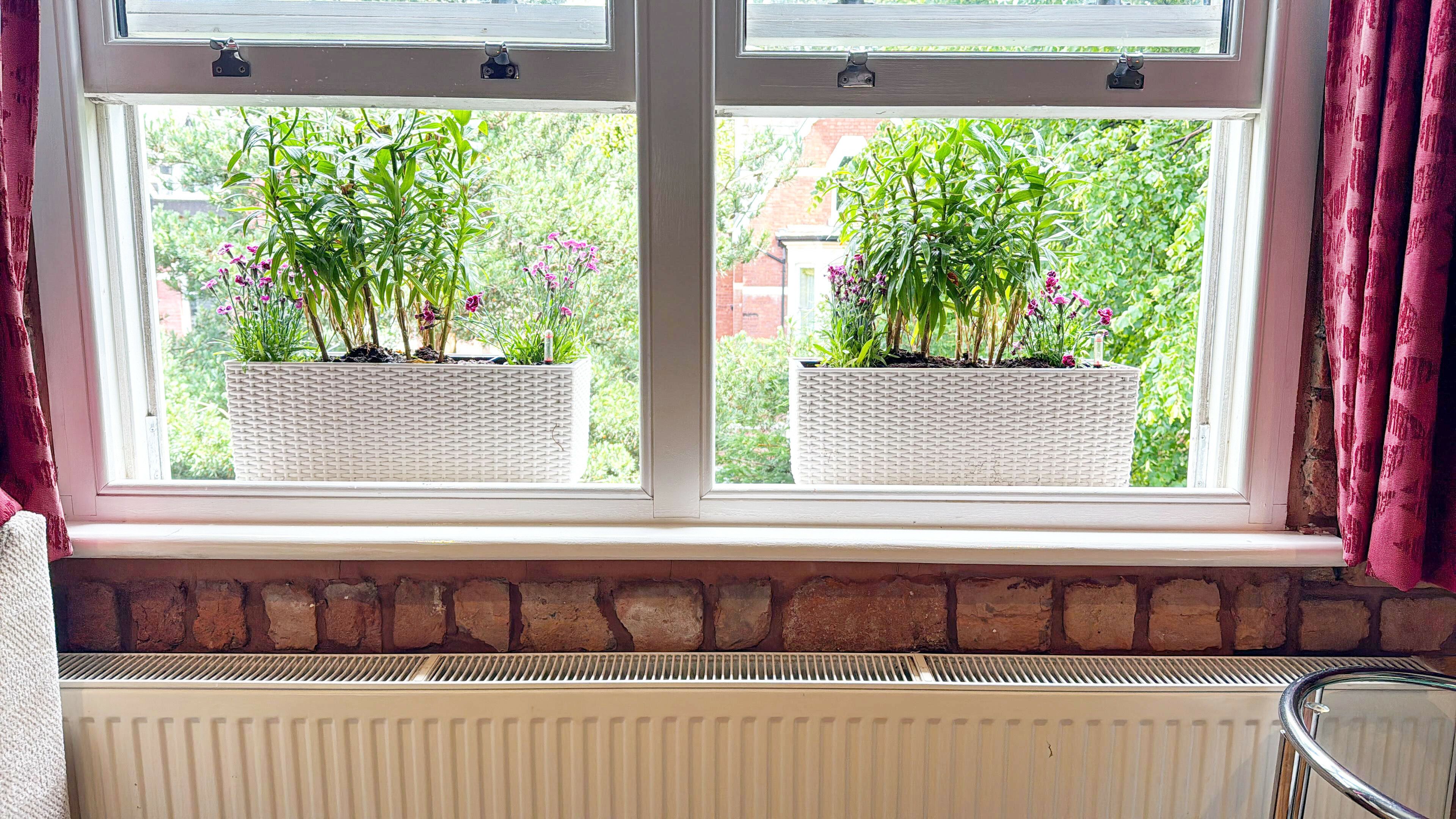 A window with two white wicker planters containing green plants and pink flowers.