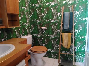 Regadera, secadora de cabello, toallas, jabón 