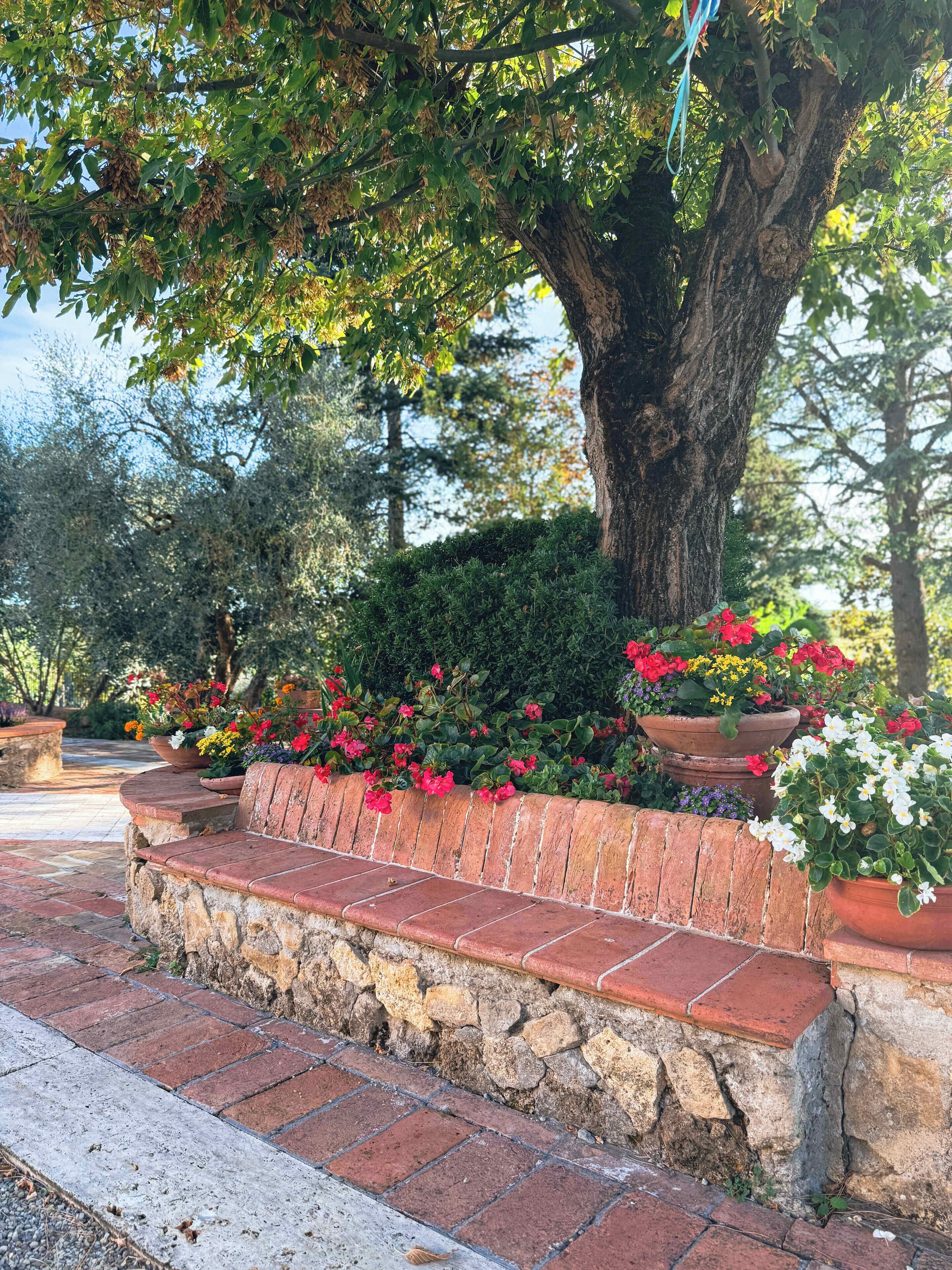 Área da propriedade