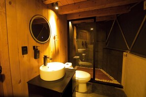 Shower, towels, toilet paper