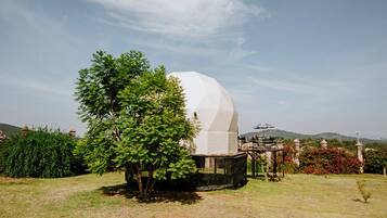 Una gran estructura en forma de cúpula blanca en un campo abierto, con un árbol cercano.