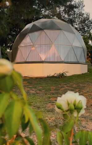 A geodesic dome structure with a triangular pattern, surrounded by grass and trees. - LUMBAI GLAMPING MAZAMITLA (Mazamitla)