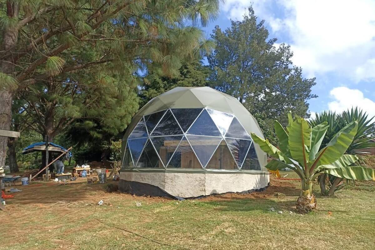 Classic Bungalow, Garden View | Cadar katil