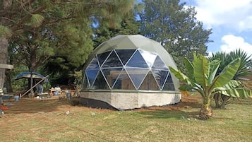 Bungalow Classique, vue jardin