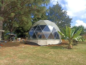 คลาสสิกบังกะโล, วิวสวน | ผ้าปูที่นอน