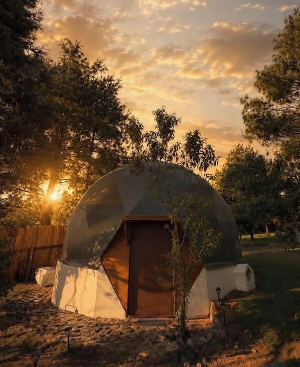 A dome-shaped structure with a wooden door, surrounded by trees and a wooden fence.