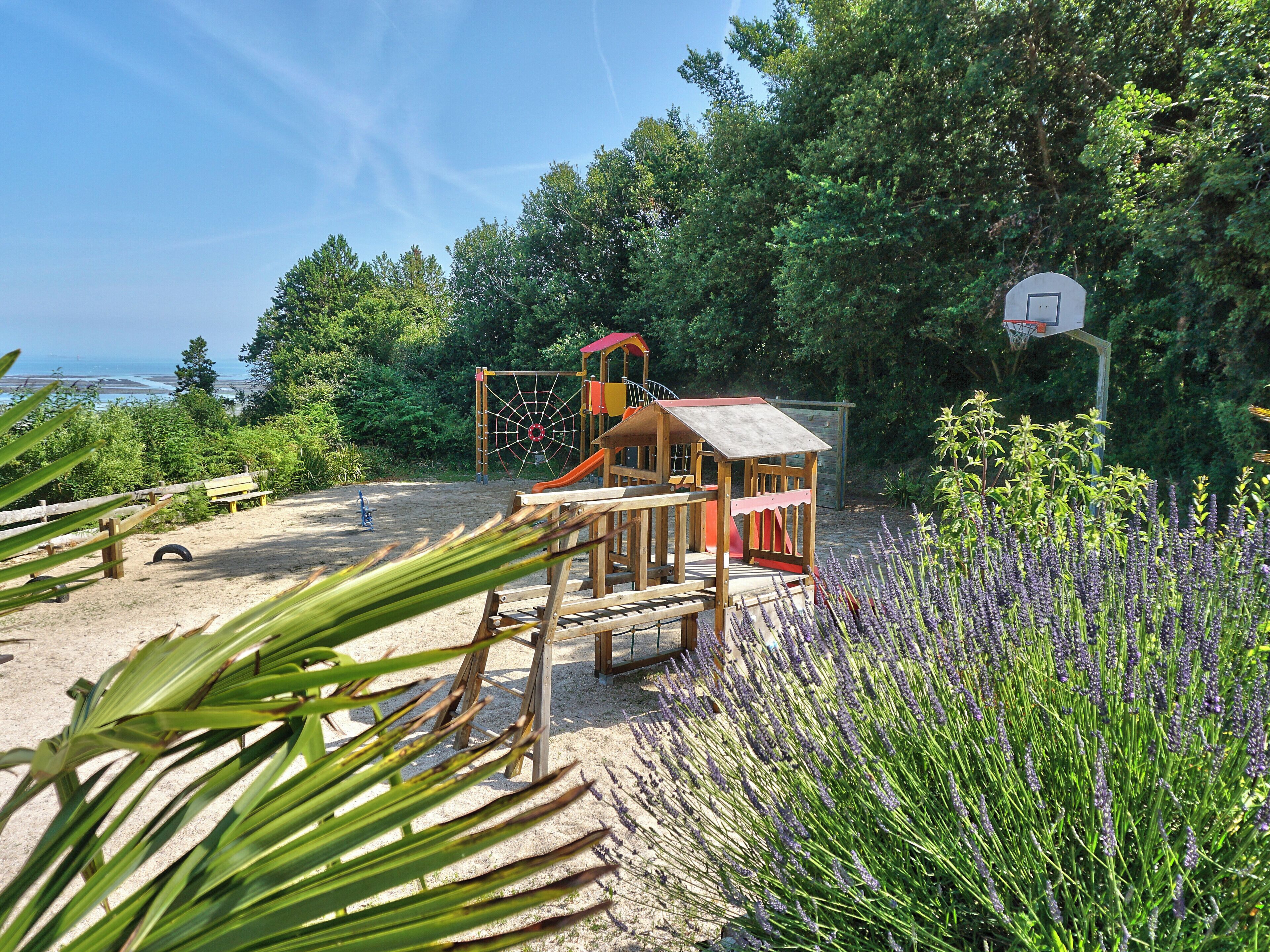 Une aire de jeux avec un panier de basket et une structure d’escalade, entourée de sable et de verdure.