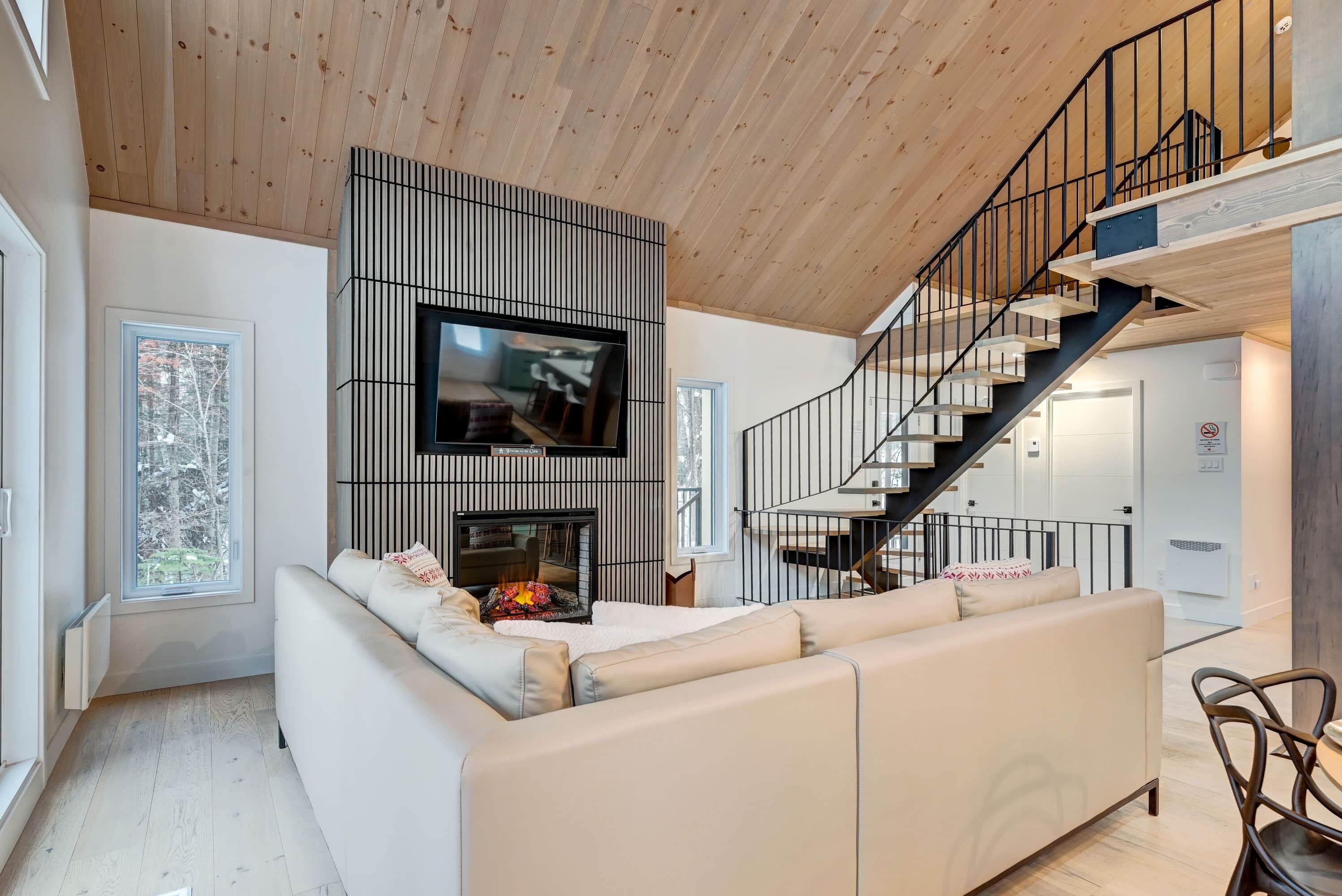 Téléviseur connecté, foyer, jeux vidéo, livres