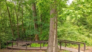A wooden deck in a forested area with a metal railing.