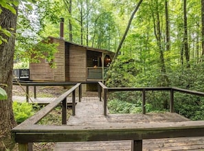 Property grounds - The Lost Compass - Suite #3 - Cozy Cabin Retreat (Sautee Nacoochee)