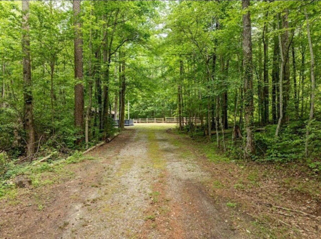 A forested area with a dirt path leading to a wooden gate.