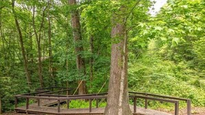 A wooden deck with a metal railing in a forested area. - The Lost Compass - Suite #2 - Cozy Cabin Retreat (Sautee Nacoochee)