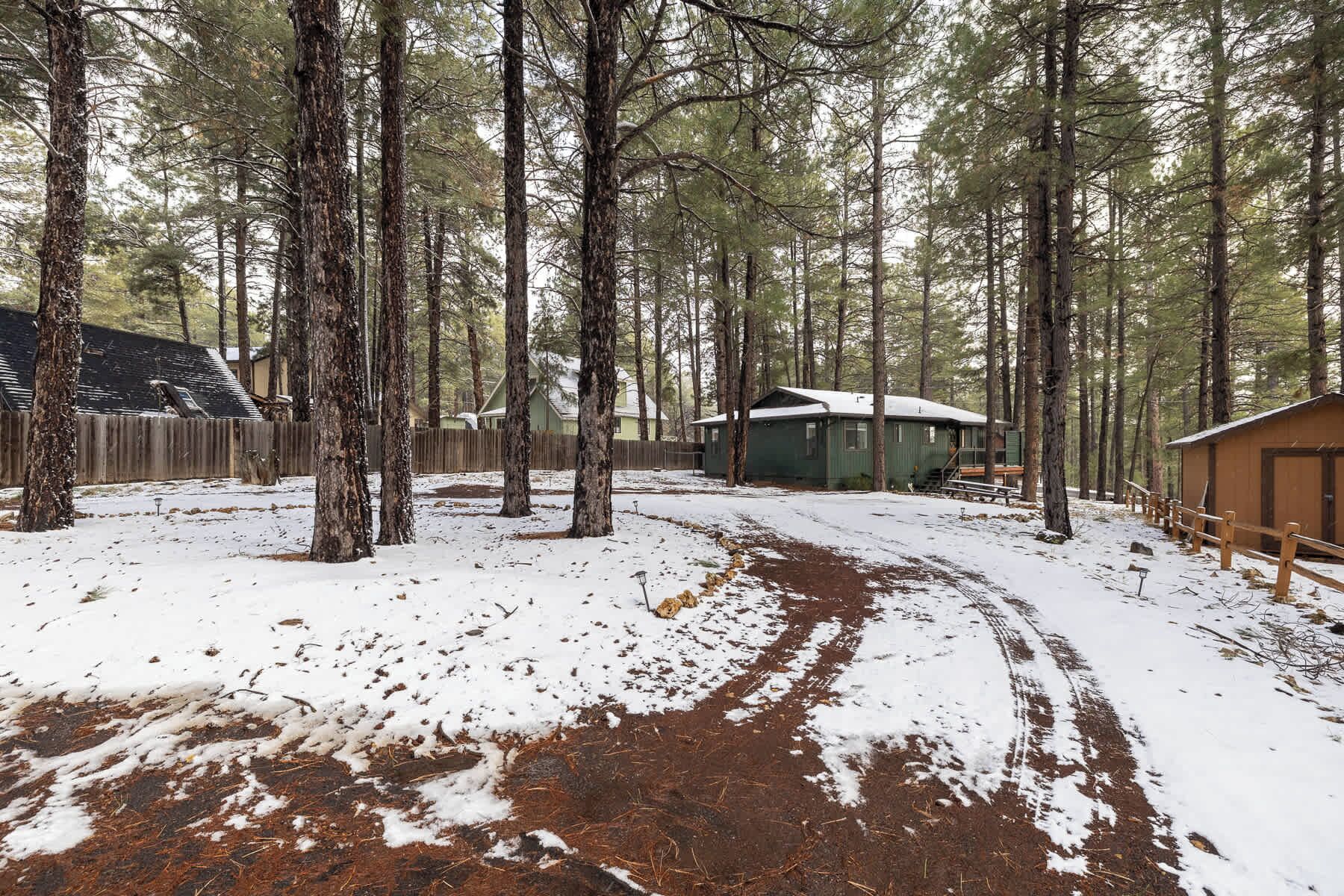 A cabin surrounded by tall pine trees with a snow-covered ground and a dirt path leading to the entrance.
