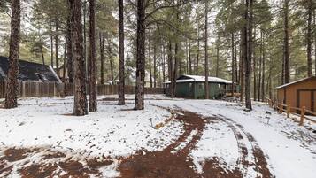 A cabin surrounded by tall pine trees with a snow-covered ground and a dirt path leading to the entrance.