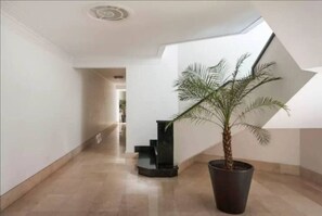 Un couloir avec un palmier en pot, un escalier noir et un mur blanc.
