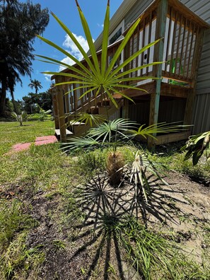 Una casa amb terrassa de fusta i jardí ple de plantes diverses.