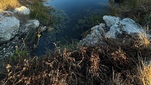 Una calma massa d'aigua envoltada per vegetació natural i roques.