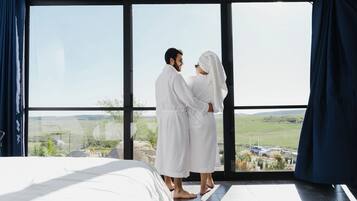 Deluxe Room, Mountain View