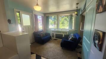 A compact living space with a kitchenette, two sofas, a patterned rug, and a window with curtains.