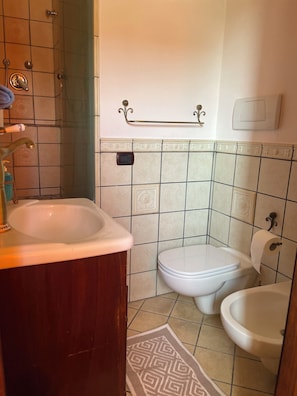 Regadera, secadora de cabello, bidet, toallas