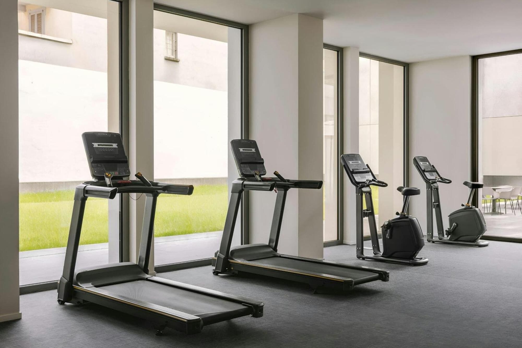 Palestra