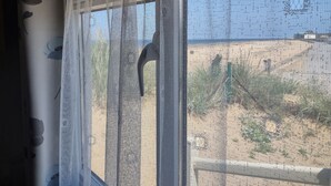 Una ventana con mosquitero y cortinas traslúcidas, mostrando vistas de una zona seca y cubierta de hierba, con vegetación escasa y un edificio distante.