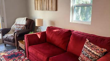TV, fireplace, books