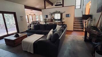 Smart TV, fireplace, books