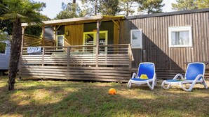 A wooden cabin with a porch, two blue lounge chairs, and a palm tree. - Palmyre - Privilège 3 - 6p (14) (Les Mathes)