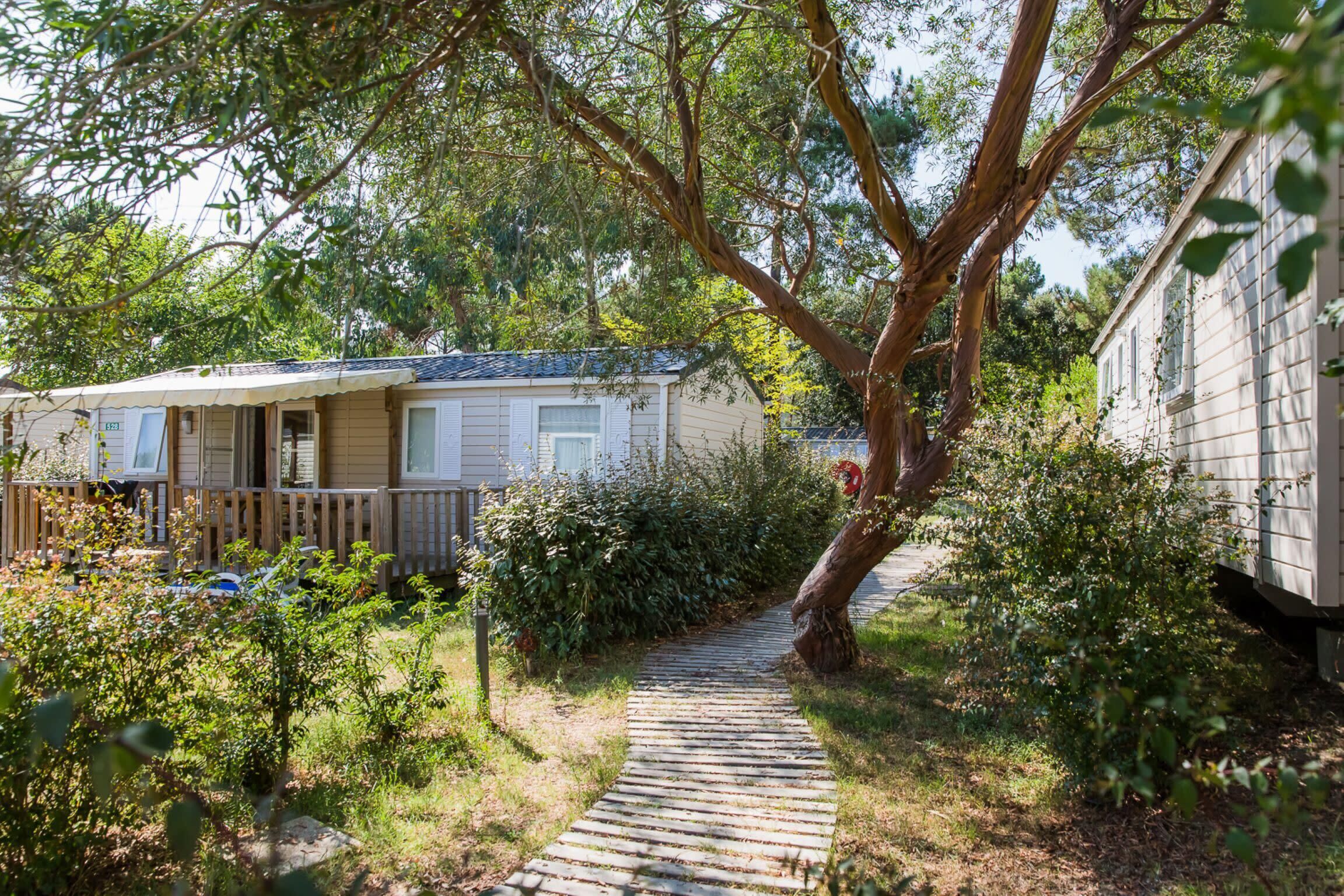 A mobile home with a porch and a pathway leading to it, surrounded by greenery and trees.