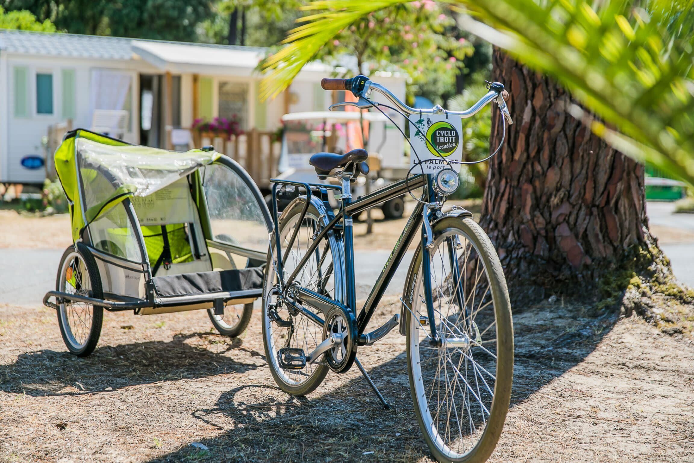 Un vélo avec une remorque de transport est garé à côté d’un arbre.