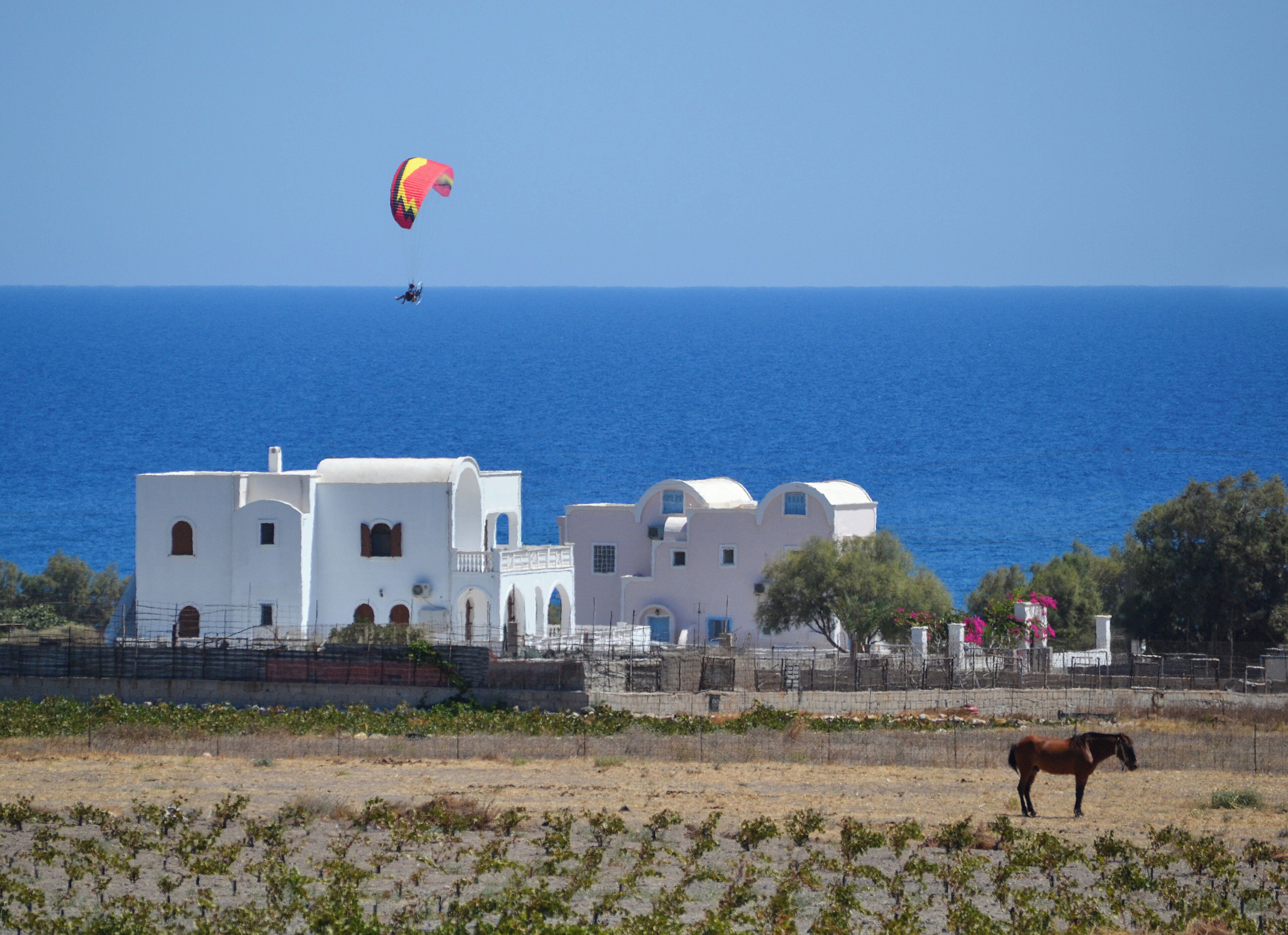 A coastal building with a vineyard in the foreground and a person paragliding in the background.